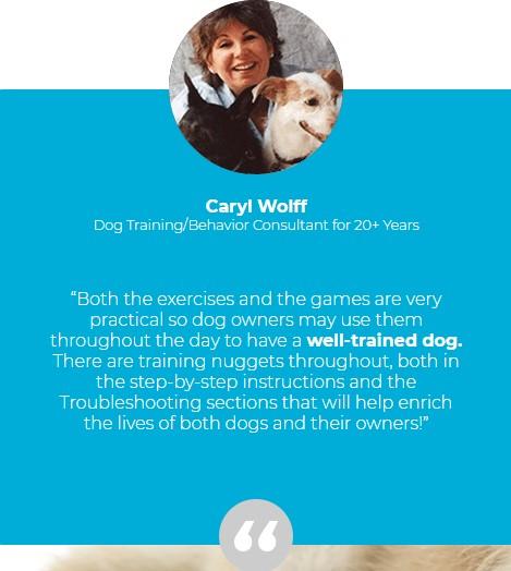 Brain Training For Dogs FREE eBook: The Airplane Game – Dog Riches eStore