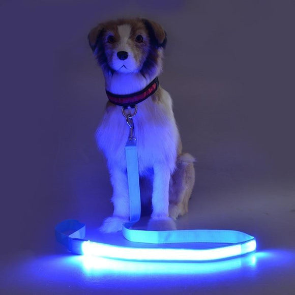 Night Safety LED Flashing Glow In Dark Dog Leash