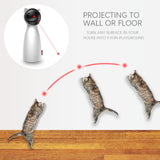 Teasing LED Laser For Cats & Dogs - Smart & Interactive