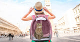Breathable Bubble Backpack For Cats & Small Dogs